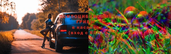 крисы Алексеевка